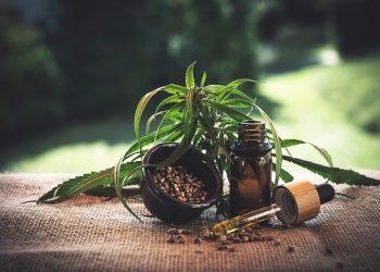 What Are The Benefits of CBD?
