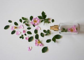 About Victoria Secret body Mists