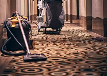Why do you need a Professional Carpet Cleaning Service?