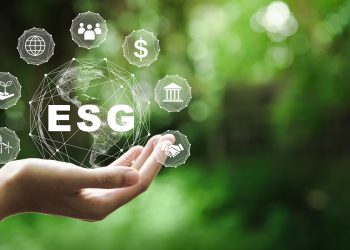 Why are ESG frameworks important?
