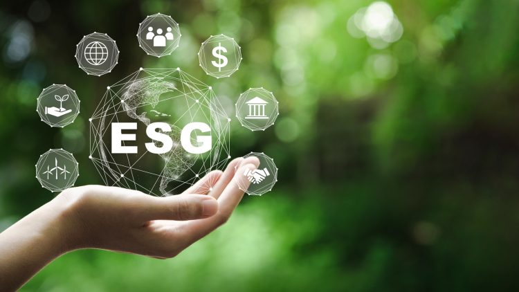 Why are ESG frameworks important?