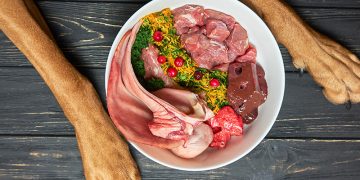 The Advantages of Raw Dog Food: Better Digestion, Improved Immune System, and More