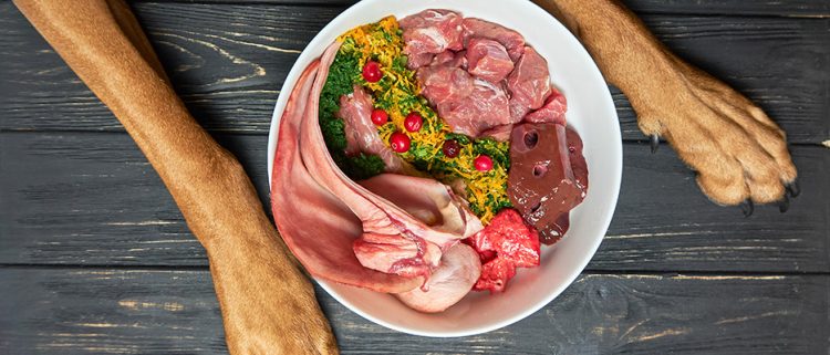 The Advantages of Raw Dog Food: Better Digestion, Improved Immune System, and More