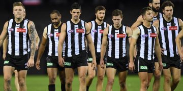 From Jock McHale to Nathan Buckley: The Legacy of Coaching Greatness at AFL Collingwood