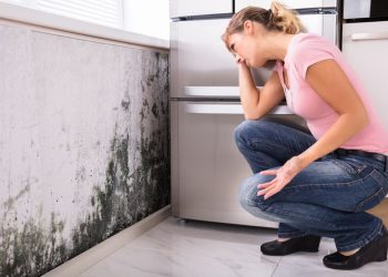 Securing Justice: The Role of Personal Injury, Housing Disrepair, and Immigration Solicitors