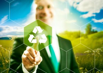 Maximizing Sustainability: How Sustainability Consultants Can Help Your Business Go Green
