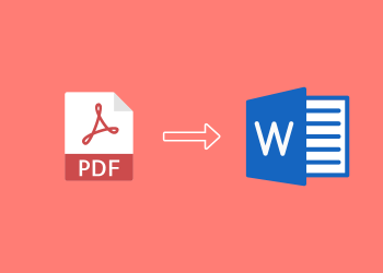 Beyond the PDF: How Conversion Software Facilitates Data Extraction