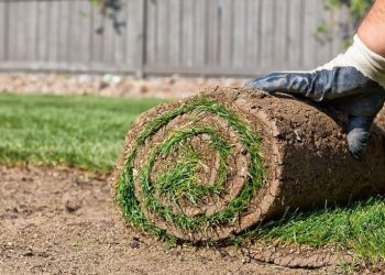 The Profound Advantages of Using Professional Turf Laying Services