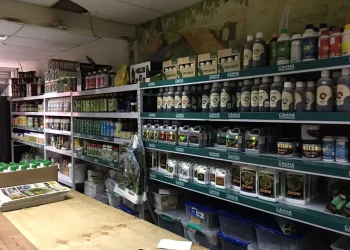 Growing Your Own Plants? A Grow Shop Can Help