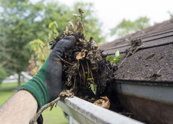 Improve Curb Appeal: How Gutter Cleaning Can Enhance Your Home’s Appearance