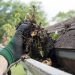 Improve Curb Appeal: How Gutter Cleaning Can Enhance Your Home’s Appearance