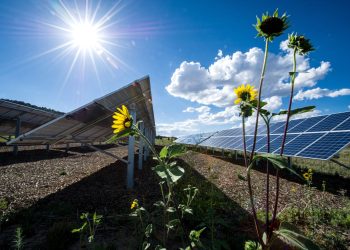 Alternate Energy Conferences: A Catalyst for Change