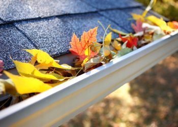 Routine to Emergency: Key Situations Prompting Calls to Salisbury Gutter Cleaners