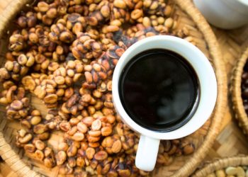 The Compelling Reasons to Buy Kopi Luwak Online