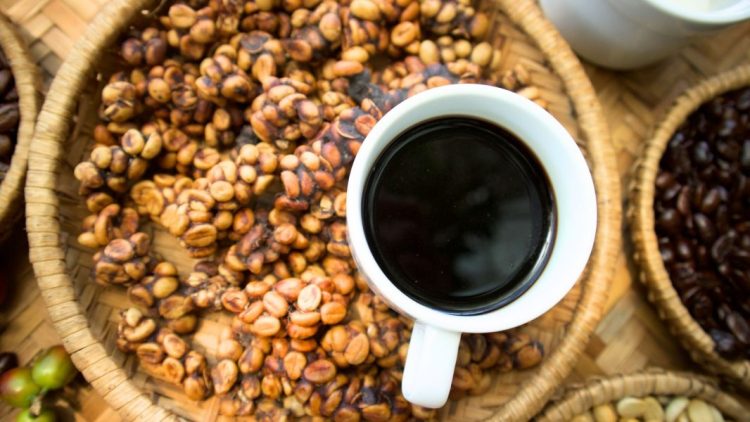 The Compelling Reasons to Buy Kopi Luwak Online