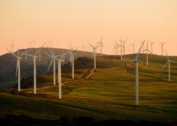 Upgrading Skills and Enhancing Knowledge: Attend an Energy Conference For Professional Growth