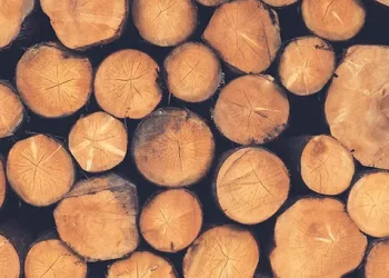 The Advantages of Using Woodfuels: A Green Energy Alternative