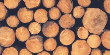 The Advantages of Using Woodfuels: A Green Energy Alternative