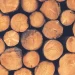 The Advantages of Using Woodfuels: A Green Energy Alternative