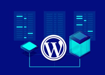 Navigating the Digital Sphere: What to Expect from Dedicated WordPress Hosting