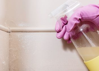 Ultimate Guide to Choosing the Right Spider Repellent Spray for Your Needs