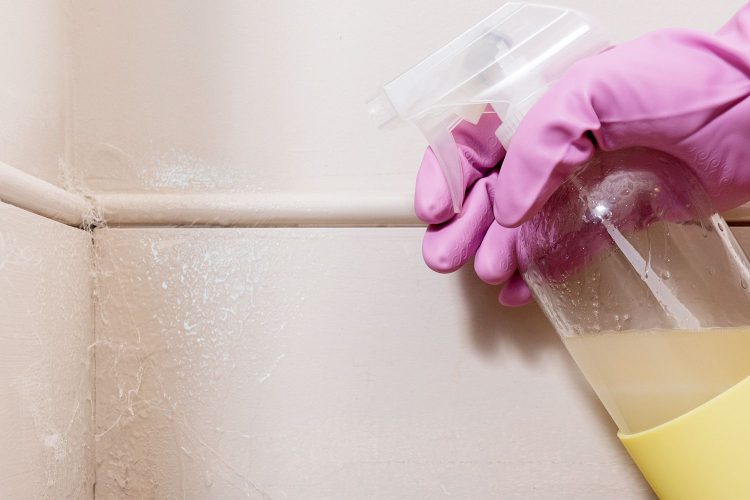 Ultimate Guide to Choosing the Right Spider Repellent Spray for Your Needs