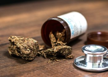 From Stigma to Solution: The Evolving Role of Cannabis in Medical Therapy