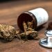 From Stigma to Solution: The Evolving Role of Cannabis in Medical Therapy
