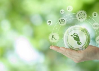 Investing in Green: The Financial and Environmental Benefits of Unveiling Your Business Carbon Footprint