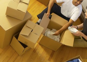 Ensuring Smooth and Efficient Moves: Professional Tips for Removals in Milton Keynes