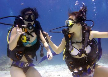 Unveiling the Underwater World: A Guide to the PADI Open Water Course