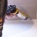 Expert Insights: The Advantages of Using a Specialist Mastic Sealant Applicator