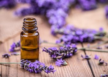 Aromatherapy Unveiled: The Healing Powers of Essential Oils for Optimal Health