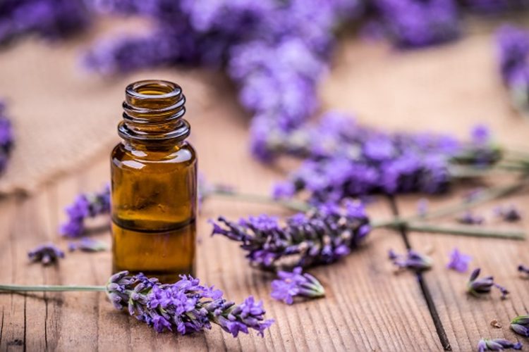 Aromatherapy Unveiled: The Healing Powers of Essential Oils for Optimal Health