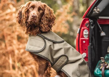 Fashion Forward Furry Friends: How Dog Coats Are Redefining Canine Chic