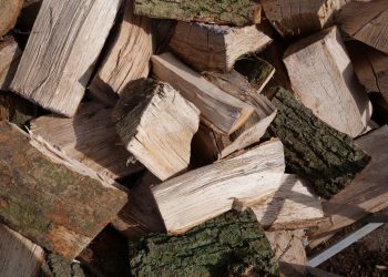 The Ultimate Guide to Choosing Quality Firewood for Sale: Ensuring Warmth and Efficiency in Your Home