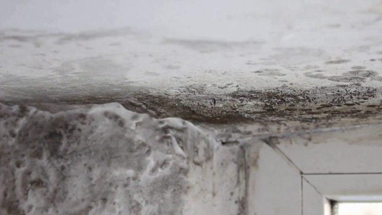 Choosing Housing Disrepair Solicitors London: A Comprehensive Guide