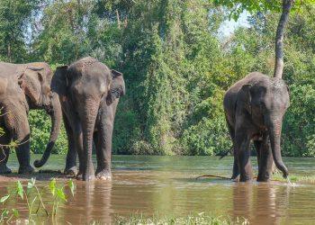 Wellness and Relaxation: Why Thailand Holidays All Inclusive Are in High Demand