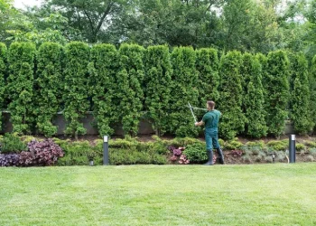 How Tunbridge Wells Gardeners Can Transform Your Garden