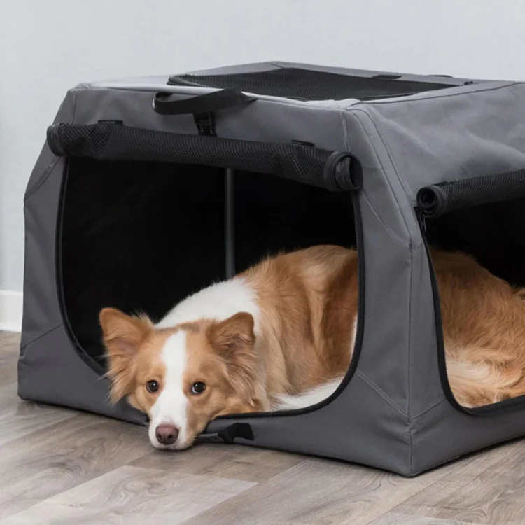 The Rise of Stylish Pet Carriers for Cats and Dogs in Modern Pet Care