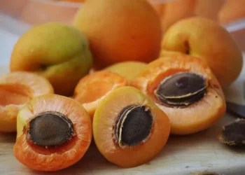 Sourcing Vitamin B17 in the UK: Exploring Food, Supplements, and Considerations