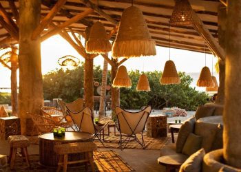 Seeking Serenity: The Global Appeal of Wellness Retreats Abroad