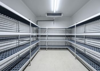 Why Modular Cold Room Solutions Are a Smart Investment Across the UK
