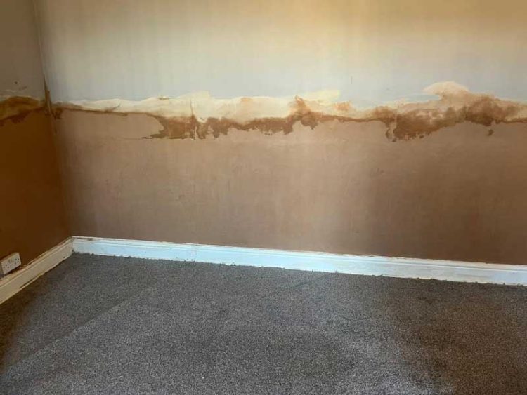 Damp Proofing Colchester: A Key Step Towards a Healthier Household
